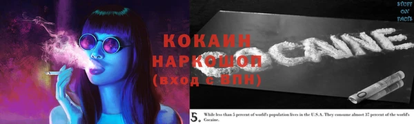 spice Новозыбков