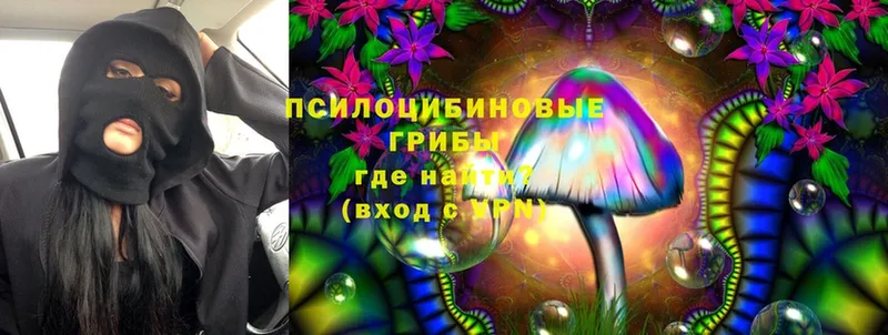 Псилоцибиновые грибы MAGIC MUSHROOMS  где продают наркотики  Курчатов 