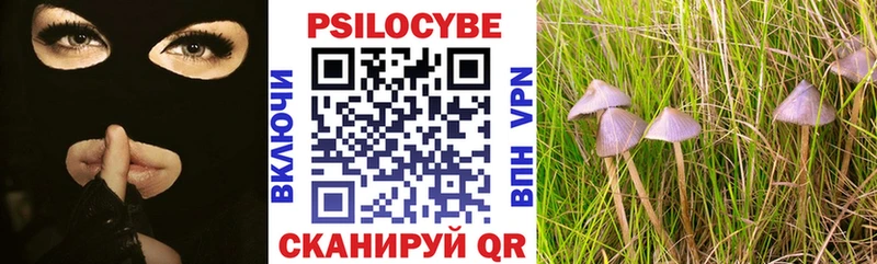Галлюциногенные грибы мухоморы  Курчатов 