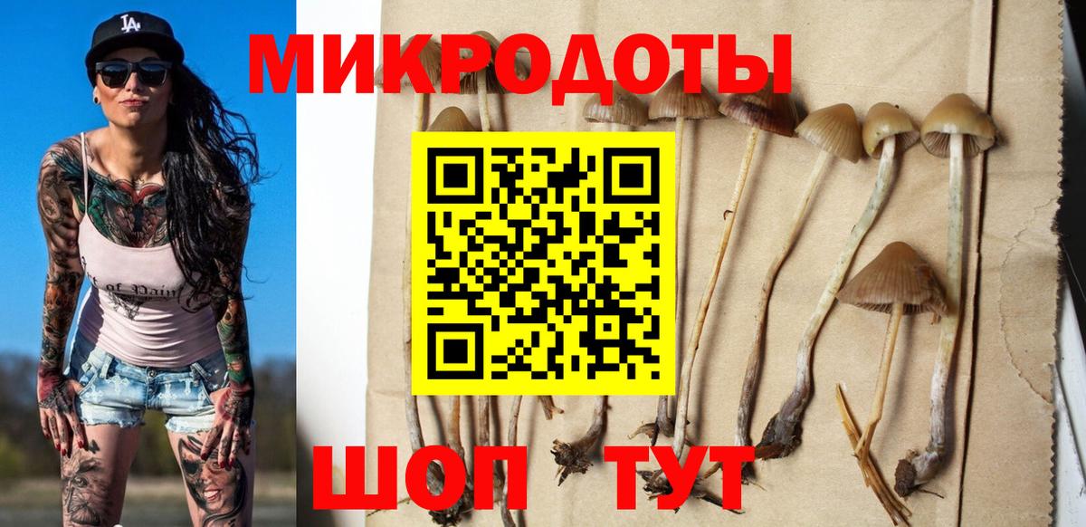 Курчатов  Псилоцибиновые грибы MAGIC MUSHROOMS  Вход с VPN  Галлюциногенные грибы Cubensis 