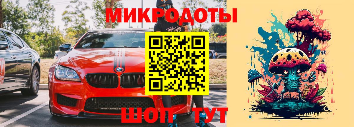 Галлюциногенные грибы Psilocybine cubensis Курчатов