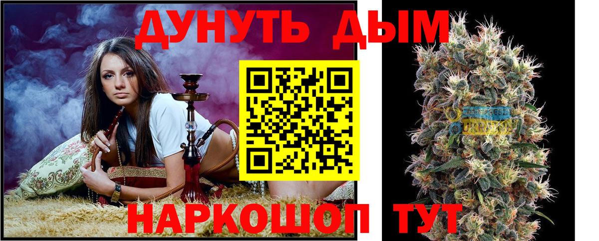 Бошки Шишки сатива Курчатов